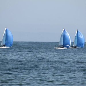 Meet your Posher, Esther